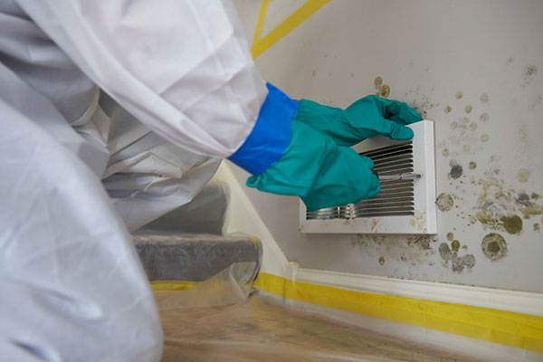 ServiceMaster Upstate Mold Remediation Process